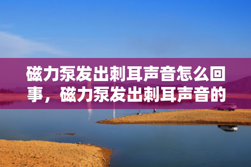 磁力泵发出刺耳声音怎么回事，磁力泵发出刺耳声音的原因及解决方法