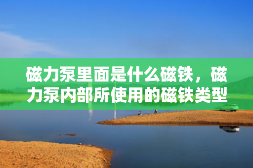 磁力泵里面是什么磁铁，磁力泵内部所使用的磁铁类型解析