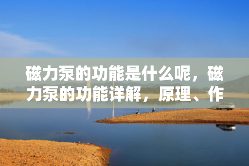 磁力泵的功能是什么呢，磁力泵的功能详解，原理、作用及应用领域