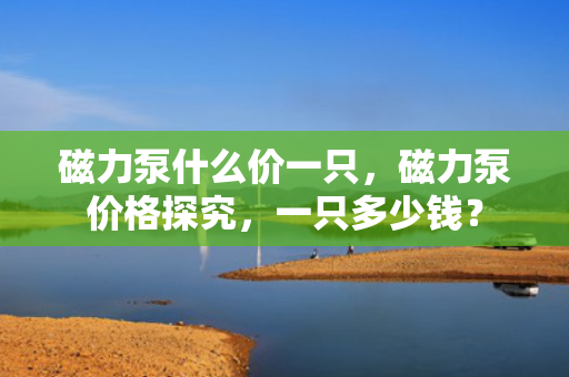 磁力泵什么价一只，磁力泵价格探究，一只多少钱？