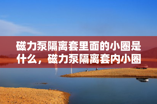磁力泵隔离套里面的小圈是什么，磁力泵隔离套内小圈的功能与作用解析