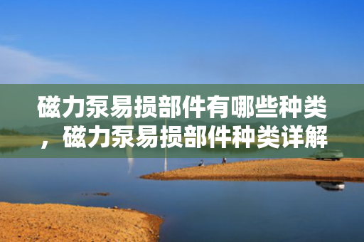 磁力泵易损部件有哪些种类，磁力泵易损部件种类详解