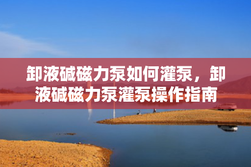 卸液碱磁力泵如何灌泵，卸液碱磁力泵灌泵操作指南