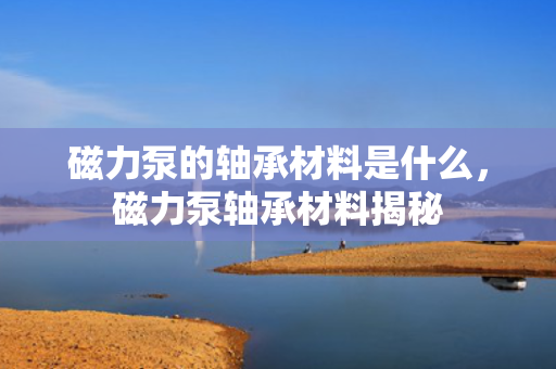 磁力泵的轴承材料是什么，磁力泵轴承材料揭秘