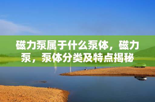 磁力泵属于什么泵体，磁力泵，泵体分类及特点揭秘