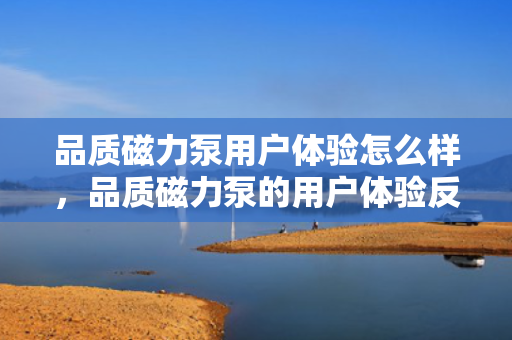 品质磁力泵用户体验怎么样，品质磁力泵的用户体验反馈如何？