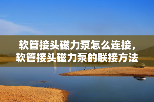 软管接头磁力泵怎么连接，软管接头磁力泵的联接方法解析