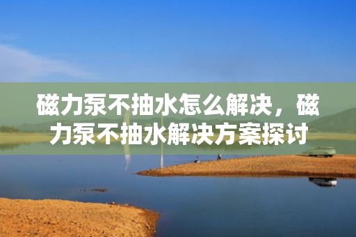 磁力泵不抽水怎么解决，磁力泵不抽水解决方案探讨