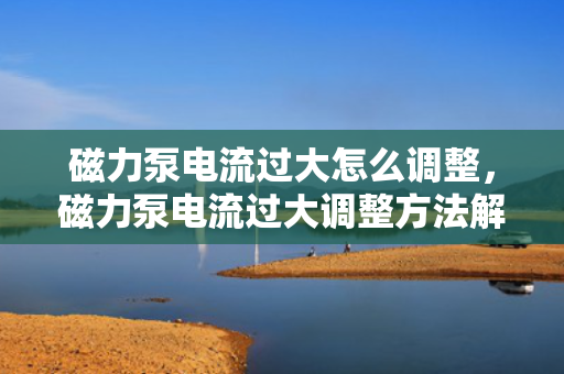 磁力泵电流过大怎么调整，磁力泵电流过大调整方法解析