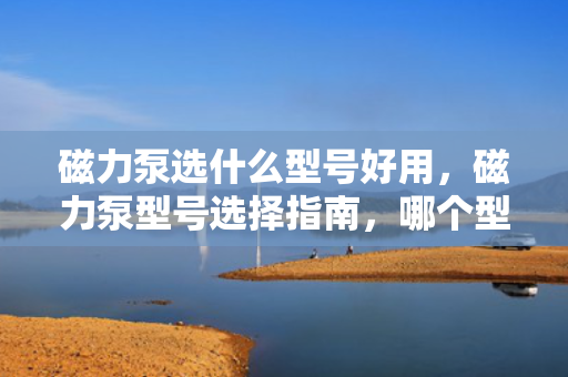 磁力泵选什么型号好用，磁力泵型号选择指南，哪个型号最好用？