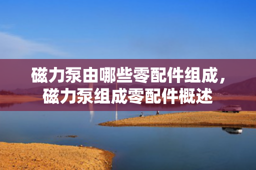 磁力泵由哪些零配件组成，磁力泵组成零配件概述