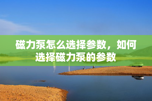 磁力泵怎么选择参数，如何选择磁力泵的参数