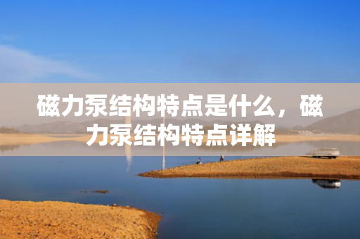 磁力泵结构特点是什么，磁力泵结构特点详解