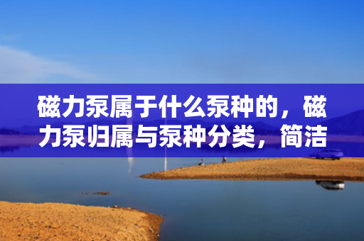 磁力泵属于什么泵种的，磁力泵归属与泵种分类，简洁明了，直接表达了磁力泵属于泵的一种。