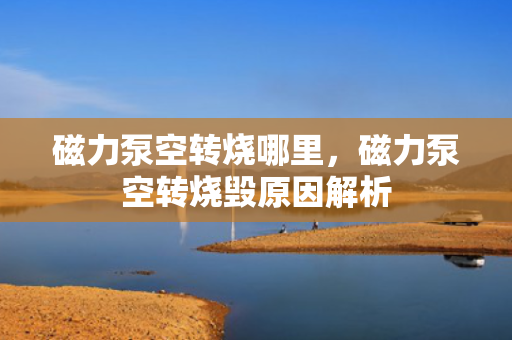 磁力泵空转烧哪里，磁力泵空转烧毁原因解析