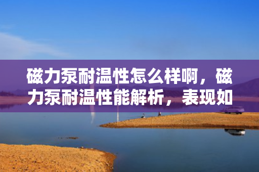 磁力泵耐温性怎么样啊，磁力泵耐温性能解析，表现如何？