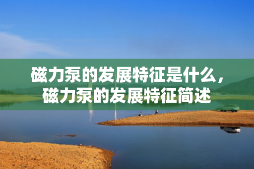 磁力泵的发展特征是什么，磁力泵的发展特征简述