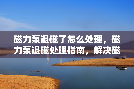 磁力泵退磁了怎么处理，磁力泵退磁处理指南，解决磁力泵退磁问题的方法