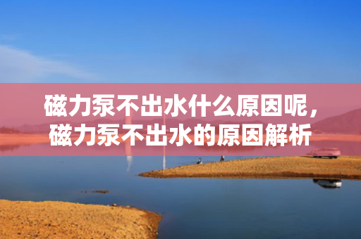 磁力泵不出水什么原因呢，磁力泵不出水的原因解析