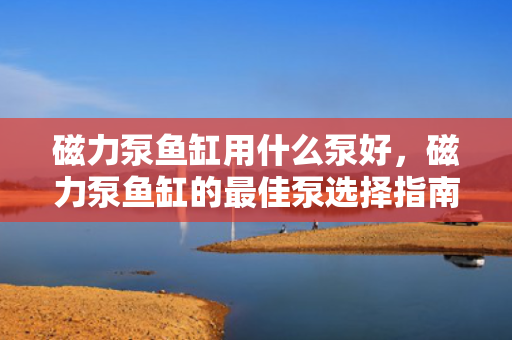 磁力泵鱼缸用什么泵好，磁力泵鱼缸的最佳泵选择指南