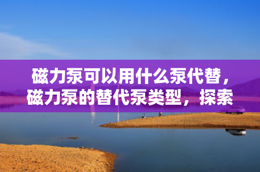 磁力泵可以用什么泵代替，磁力泵的替代泵类型，探索替代方案