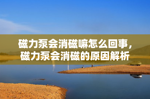 磁力泵会消磁嘛怎么回事，磁力泵会消磁的原因解析