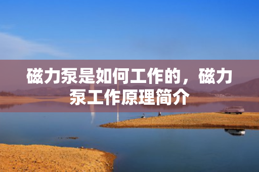 磁力泵是如何工作的，磁力泵工作原理简介