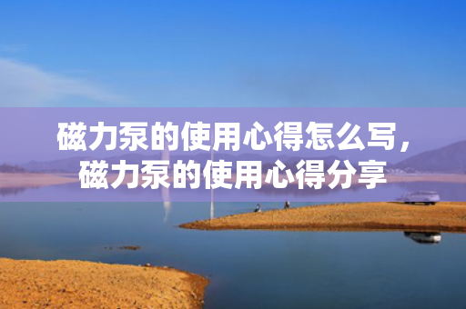 磁力泵的使用心得怎么写，磁力泵的使用心得分享