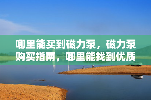 哪里能买到磁力泵，磁力泵购买指南，哪里能找到优质磁力泵？