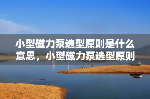 小型磁力泵选型原则是什么意思，小型磁力泵选型原则详解