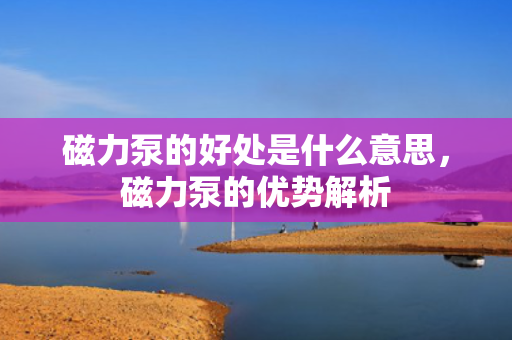 磁力泵的好处是什么意思，磁力泵的优势解析