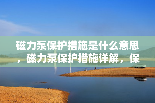 磁力泵?；ご胧┦鞘裁匆馑?，磁力泵?；ご胧┫杲?，保障运行安全与效率的关键措施