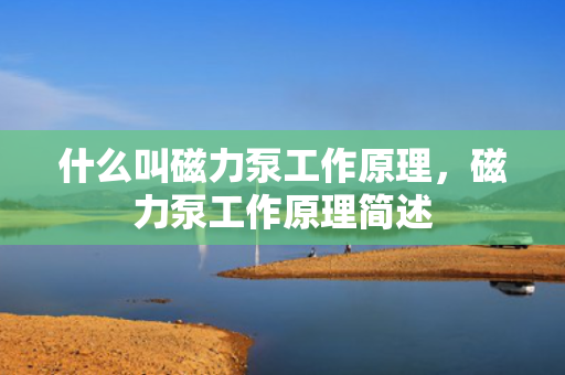 什么叫磁力泵工作原理，磁力泵工作原理简述