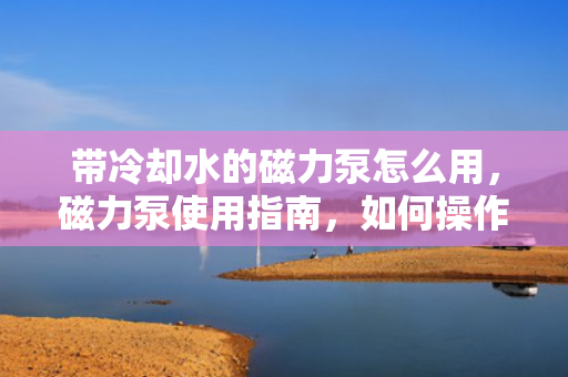 带冷却水的磁力泵怎么用，磁力泵使用指南，如何操作带冷却水的磁力泵？