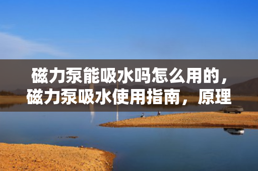 磁力泵能吸水吗怎么用的，磁力泵吸水使用指南，原理与操作详解