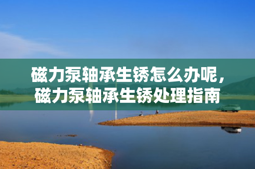 磁力泵轴承生锈怎么办呢，磁力泵轴承生锈处理指南