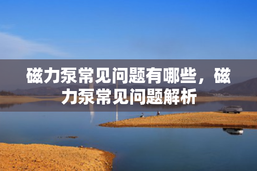 磁力泵常见问题有哪些，磁力泵常见问题解析