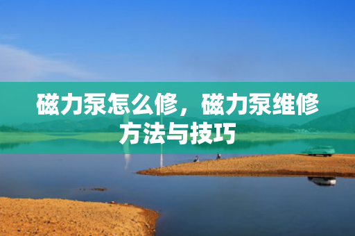 磁力泵怎么修，磁力泵维修方法与技巧