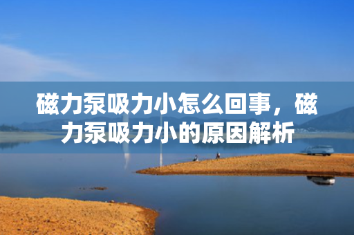 磁力泵吸力小怎么回事，磁力泵吸力小的原因解析