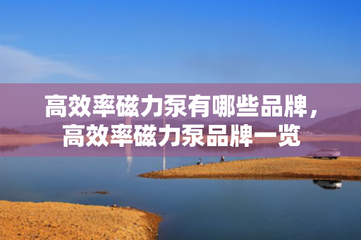 高效率磁力泵有哪些品牌，高效率磁力泵品牌一览