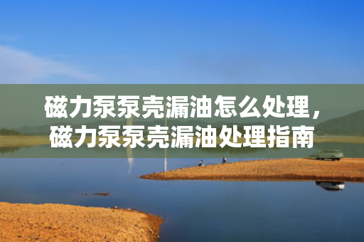 磁力泵泵壳漏油怎么处理，磁力泵泵壳漏油处理指南