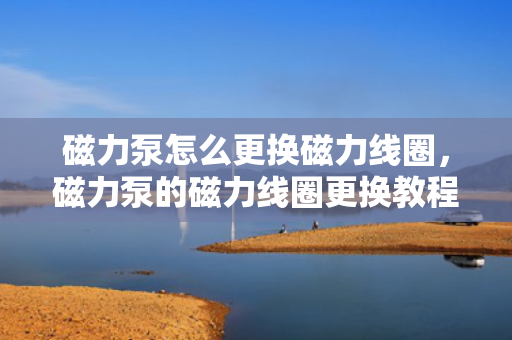 磁力泵怎么更换磁力线圈，磁力泵的磁力线圈更换教程