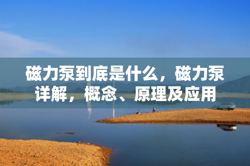 磁力泵到底是什么，磁力泵详解，概念、原理及应用