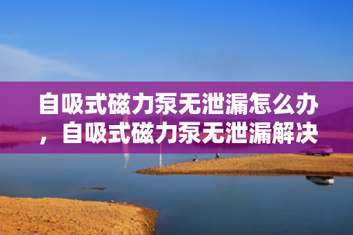 自吸式磁力泵无泄漏怎么办，自吸式磁力泵无泄漏解决方案
