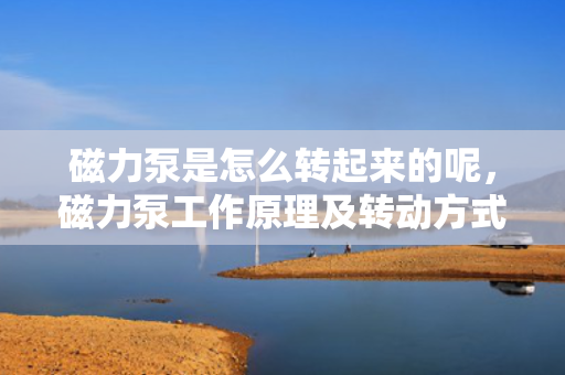 磁力泵是怎么转起来的呢，磁力泵工作原理及转动方式解析