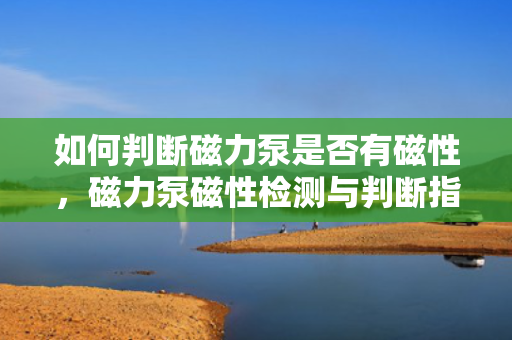 如何判断磁力泵是否有磁性，磁力泵磁性检测与判断指南