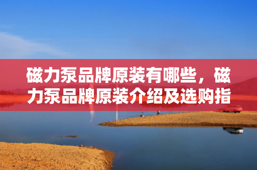 磁力泵品牌原装有哪些，磁力泵品牌原装介绍及选购指南