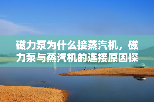 磁力泵为什么接蒸汽机，磁力泵与蒸汽机的连接原因探究