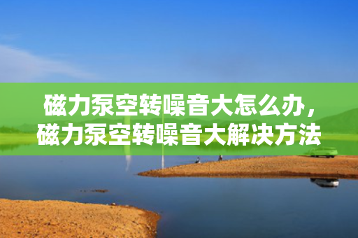 磁力泵空转噪音大怎么办，磁力泵空转噪音大解决方法探讨