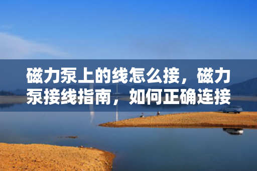 磁力泵上的线怎么接，磁力泵接线指南，如何正确连接磁力泵上的线路
